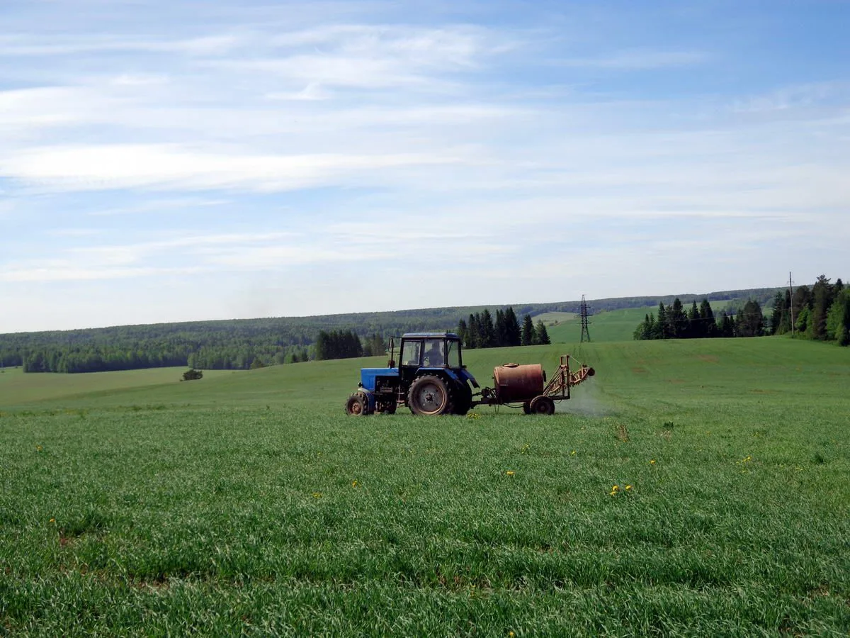 🌾 В Башкортостане начался уход за посевами сельскохозяйственных культур