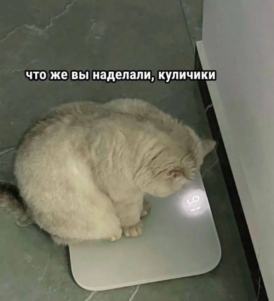 В точку