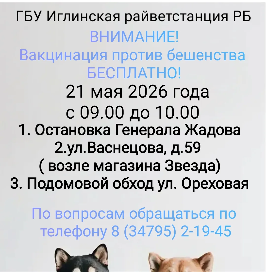 📣ВНИМАНИЕ! ВАКЦИНАЦИЯ ПРОТИВ БЕШЕНСТВА📣