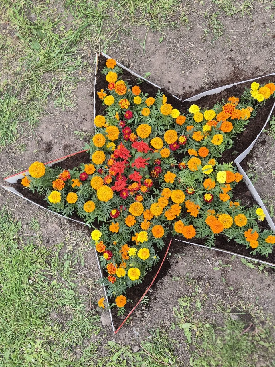 🌺 Клумба Победы: память, цветущая бархатцами  Учащиеся МАОУ «Гимназия №34» совершили благородное дел