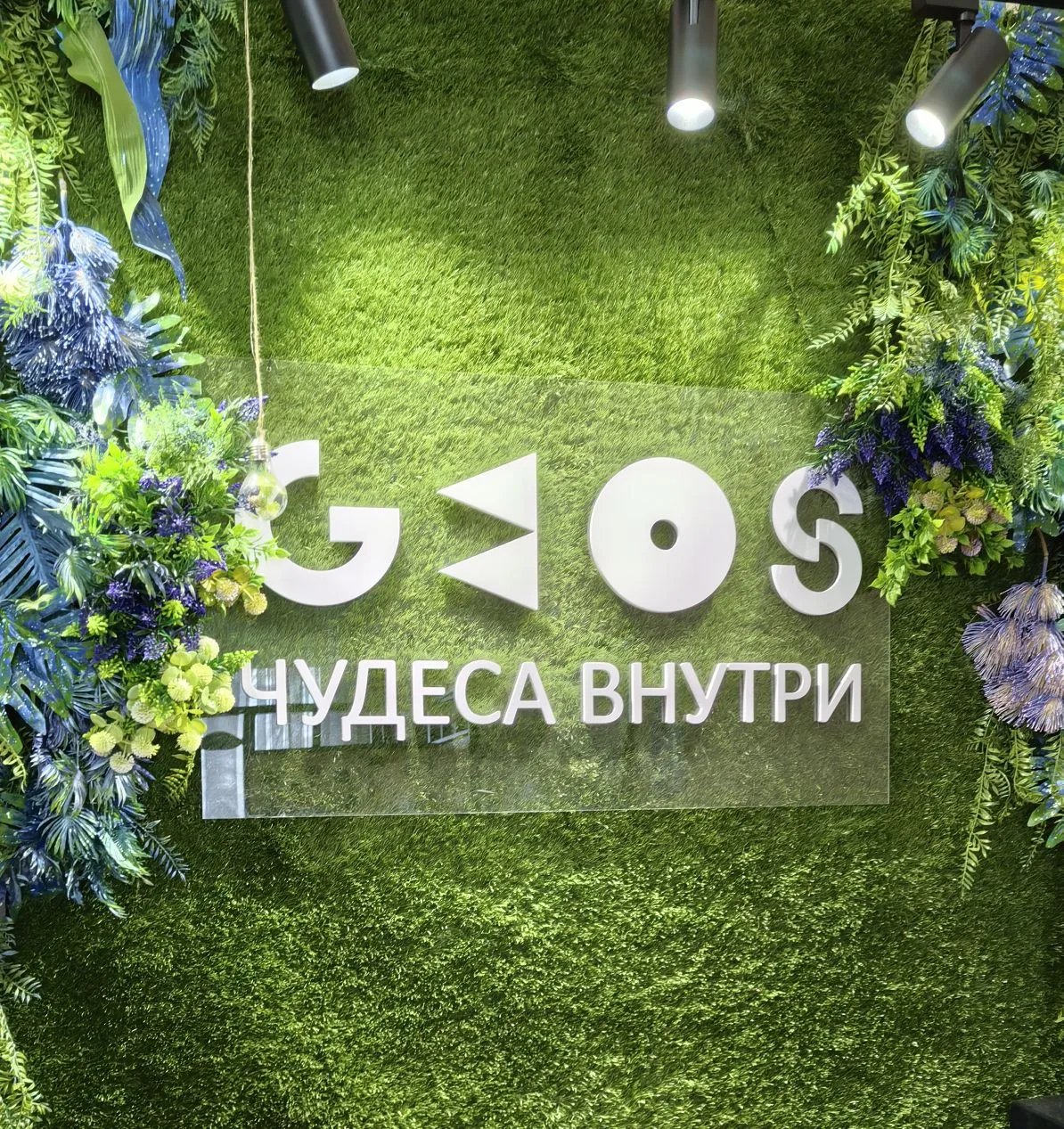 Вот уж правда-чудеса внутри!
