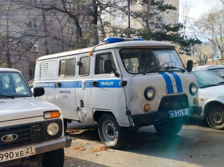 В Хабаровске задержали грабителя, сорвавшего цепочку с пенсионерки