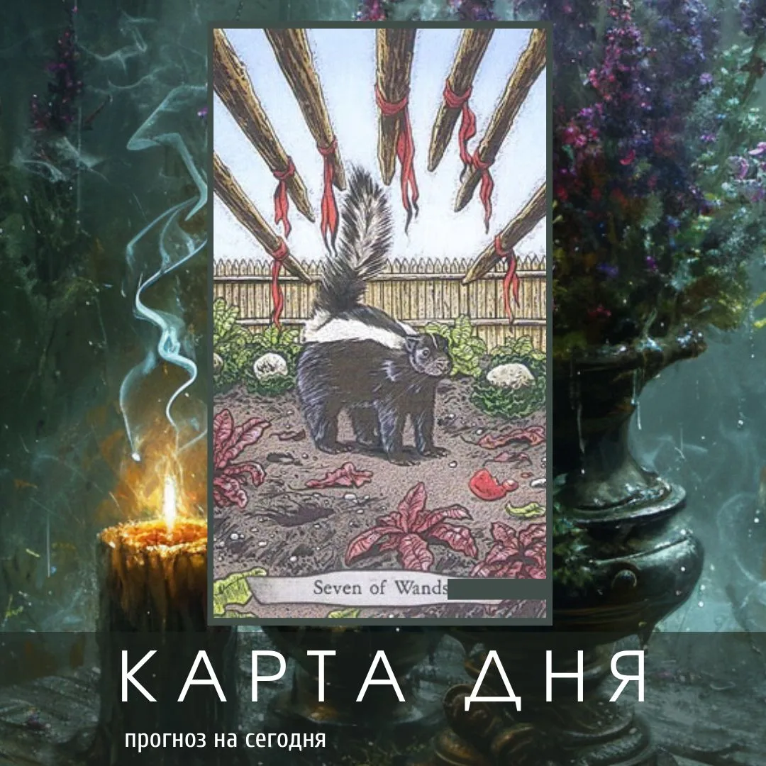 прием заявок на Загрузку Защиты завершен, энергия пошла на создание плотного внешнего купола для защ