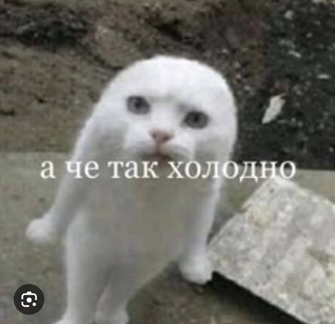 Замерзли? 🤩