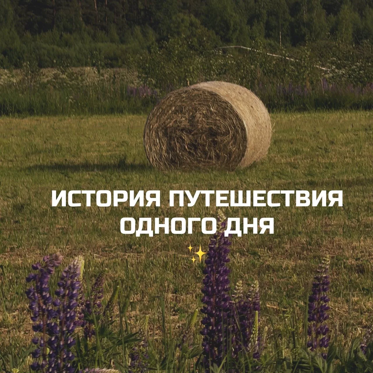 История путешествия одного дня ✨ от Ирины Черновой 

Утром выезжаем из Москвы на увлекательную экску