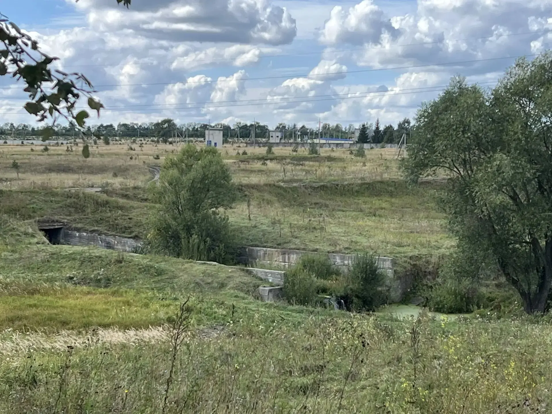Рейд на водоём 25 августа: тишина и спокойствие 🌿☀️