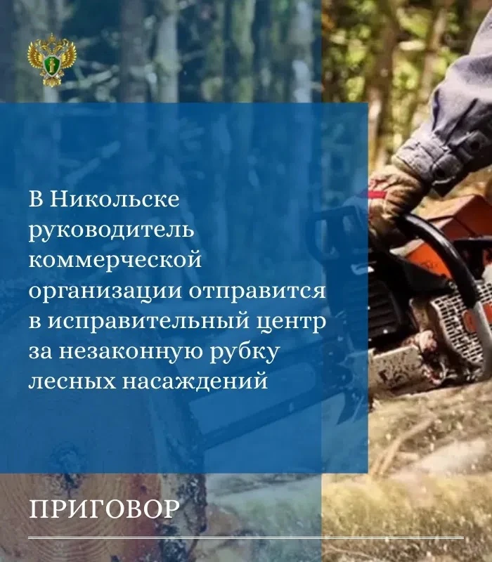 📌 Прокуратурой Никольского района поддержано государственное обвинение по уголовному делу в отношен