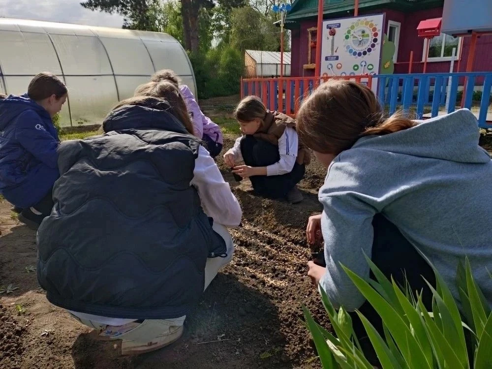 "Маленькие семена - большие надежды!"🌱