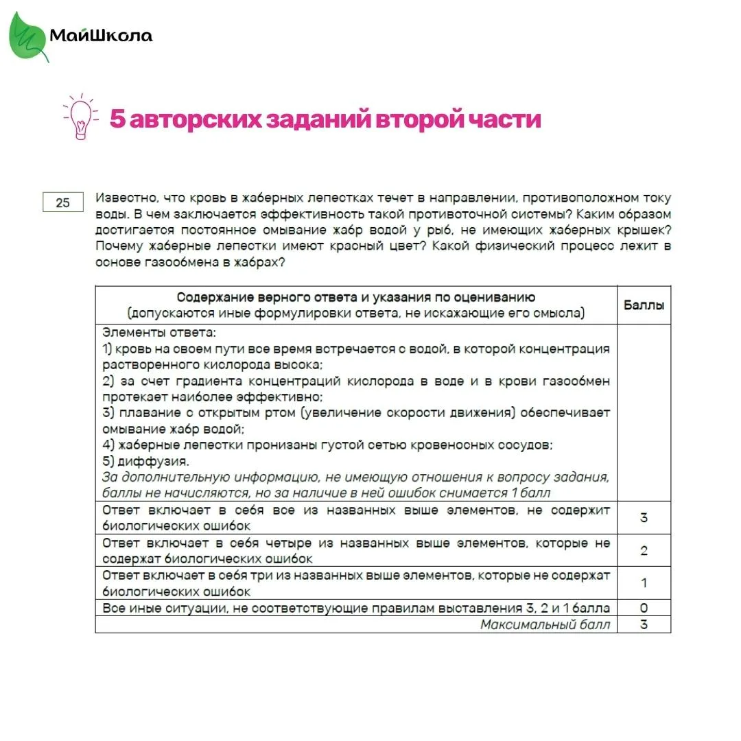 А у вас есть авторские задания? 🤔