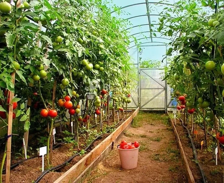 Дорогие друзья, ценители вкуса и гости "Медвежьей горы"!
