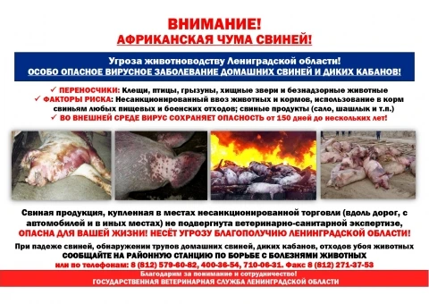 ❗ Обратите внимание.