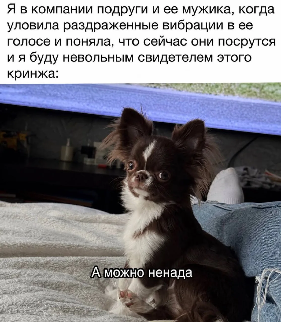 Мемы в MAX