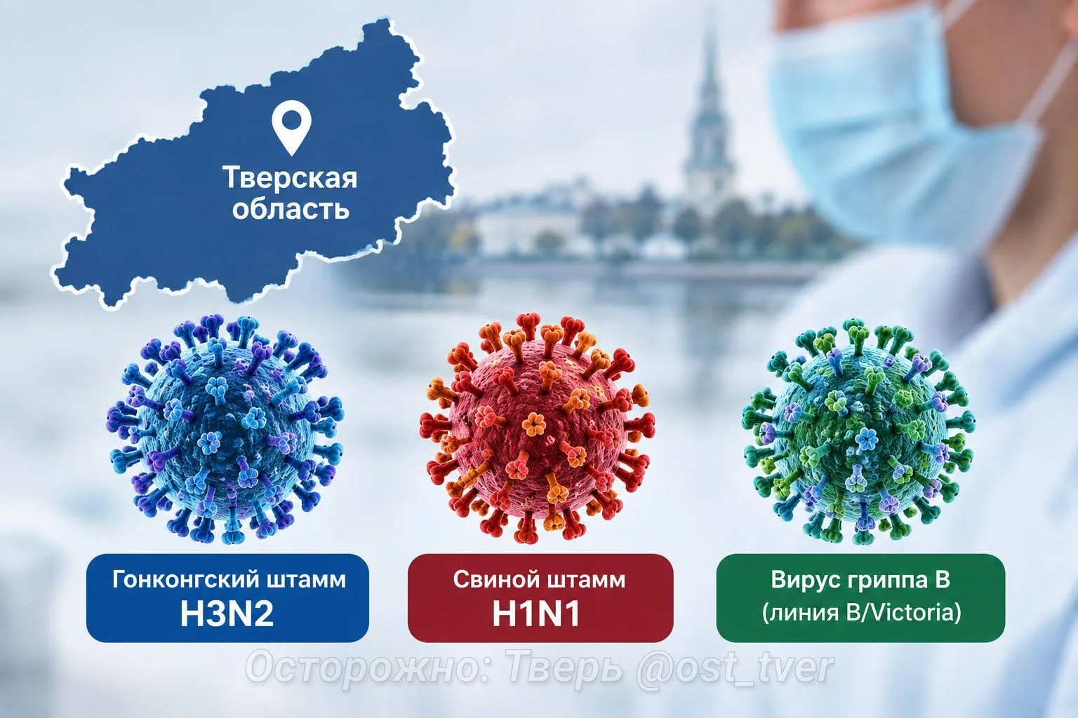 😷❗️В Тверь идут 3 мутировавших штамма гриппа — гонконгский, свиной и грипп B линии Vic...