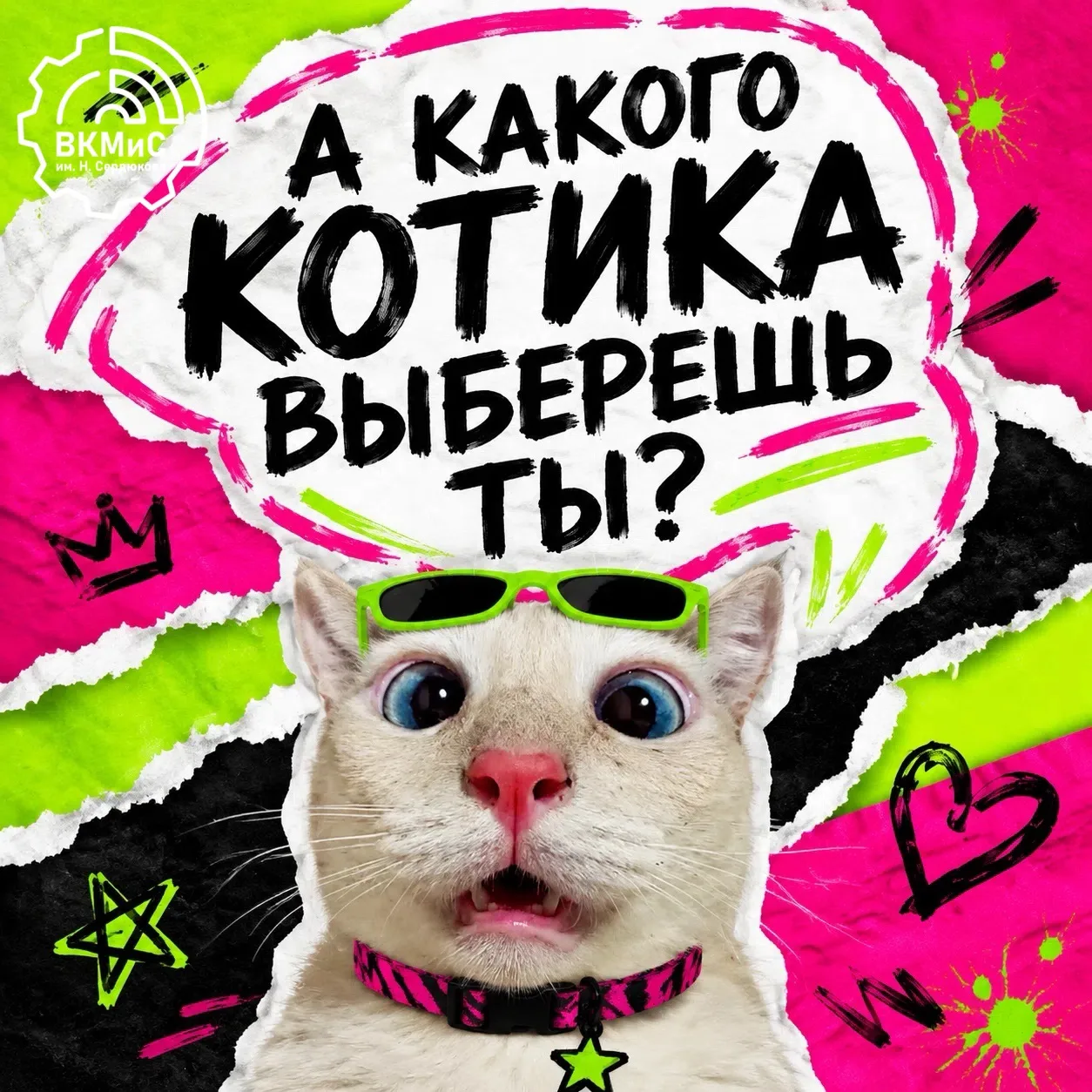 😼 Каждый день мы делаем выбор. 
Иногда он кажется мелочью. 
Но именно такие решения могут многое из
