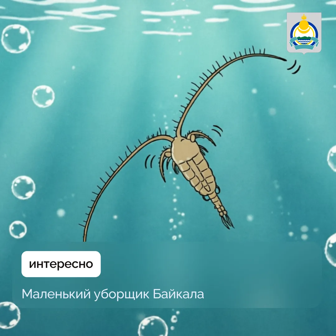 Знаете ли вы, что самое глубокое озеро планеты остается таким чистым не благодаря сложным химическим