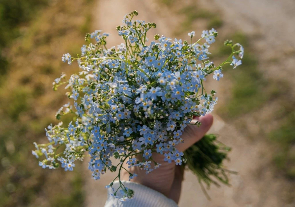 #Аффирмации Я ценю себя
