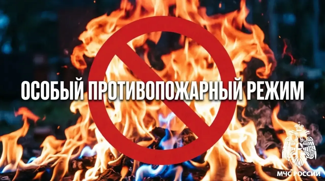 ❗️Внимание! Постановлением Правительства Республики Коми с 1 июня введён особый противопожарный режи