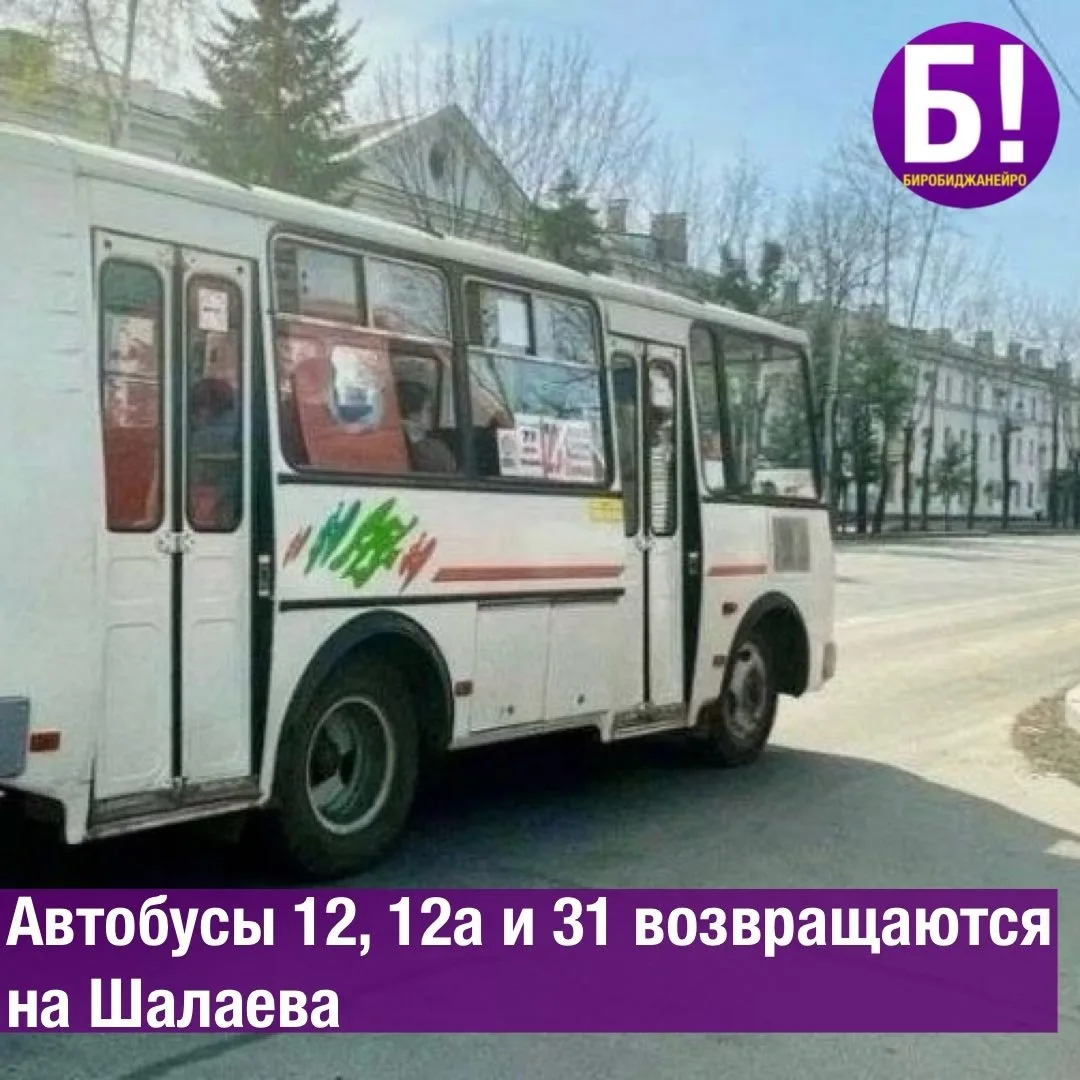 Автобусы №12, 12а и 31 возвращаются на Шалаева 🚌