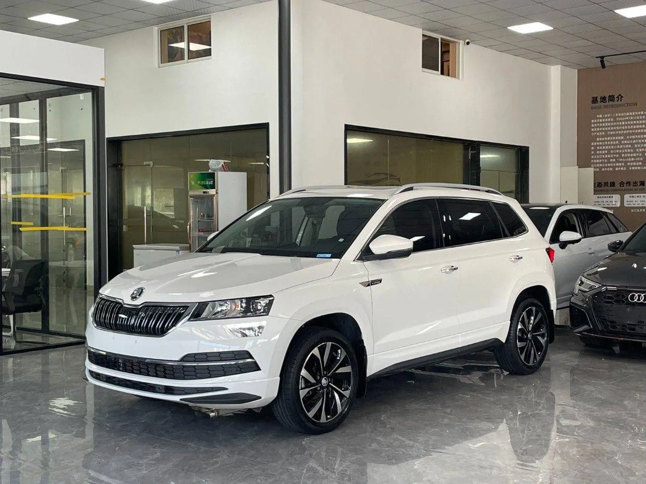 🇨🇳 Skoda Karoq