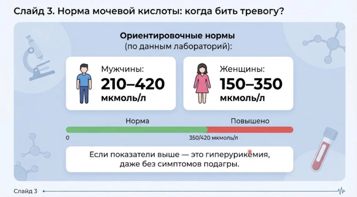 🦶 МОЧЕВАЯ КИСЛОТА И ПОДАГРА: КАК ВЗЯТЬ ПОД КОНТРОЛЬ И ЗАБЫТЬ О БОЛИ?