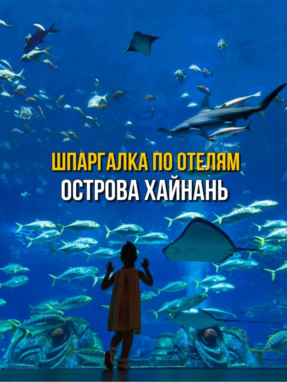 ✔️Хайнань - одно из самых популярных направлений этой осени и зимы.