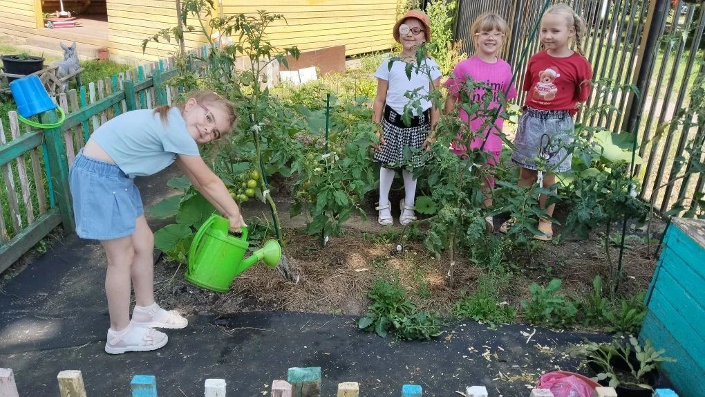 Наши ребята славно потрудились и собрали вот такой урожай: помидоры 🍅, чеснок 🧄, зеле...