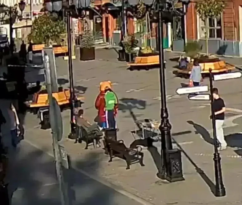 В Ярославле полиция ищет вандала за порчу медведей в пешеходном центре