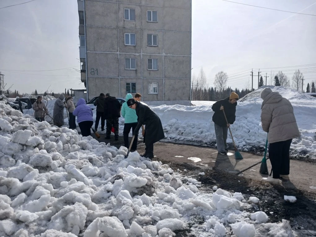 Сотрудников детской школы искусств объединило доброе и важное дело — они дружно вышли н...
