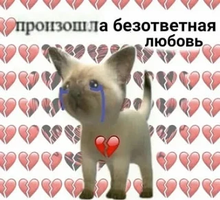 Мужчины верят в первую любовь чаще женщин
