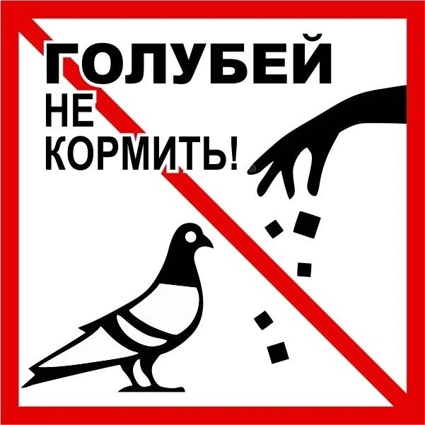 🕊️ Уважаемые жители, пожалуйста, не кормите птиц на газонах и во дворах