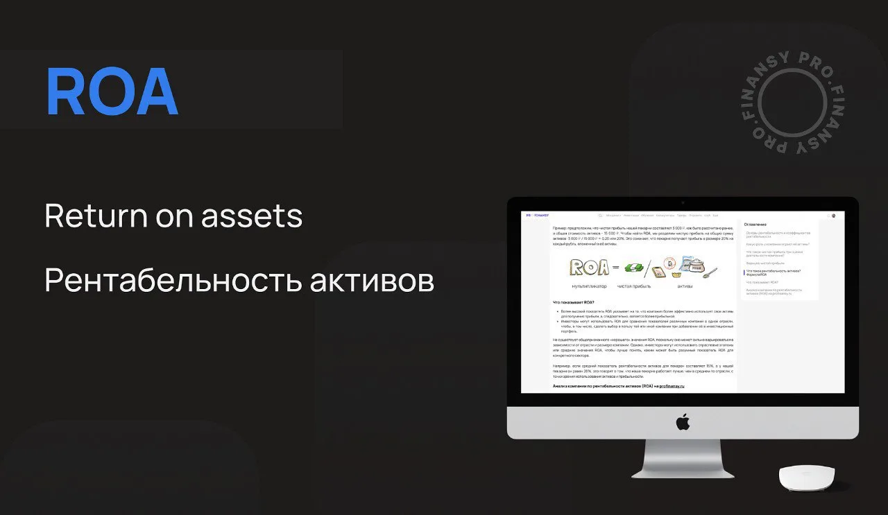 Как оценить, насколько хорошо компания генерит прибыль с учетом ее ресурсов? Используйт...