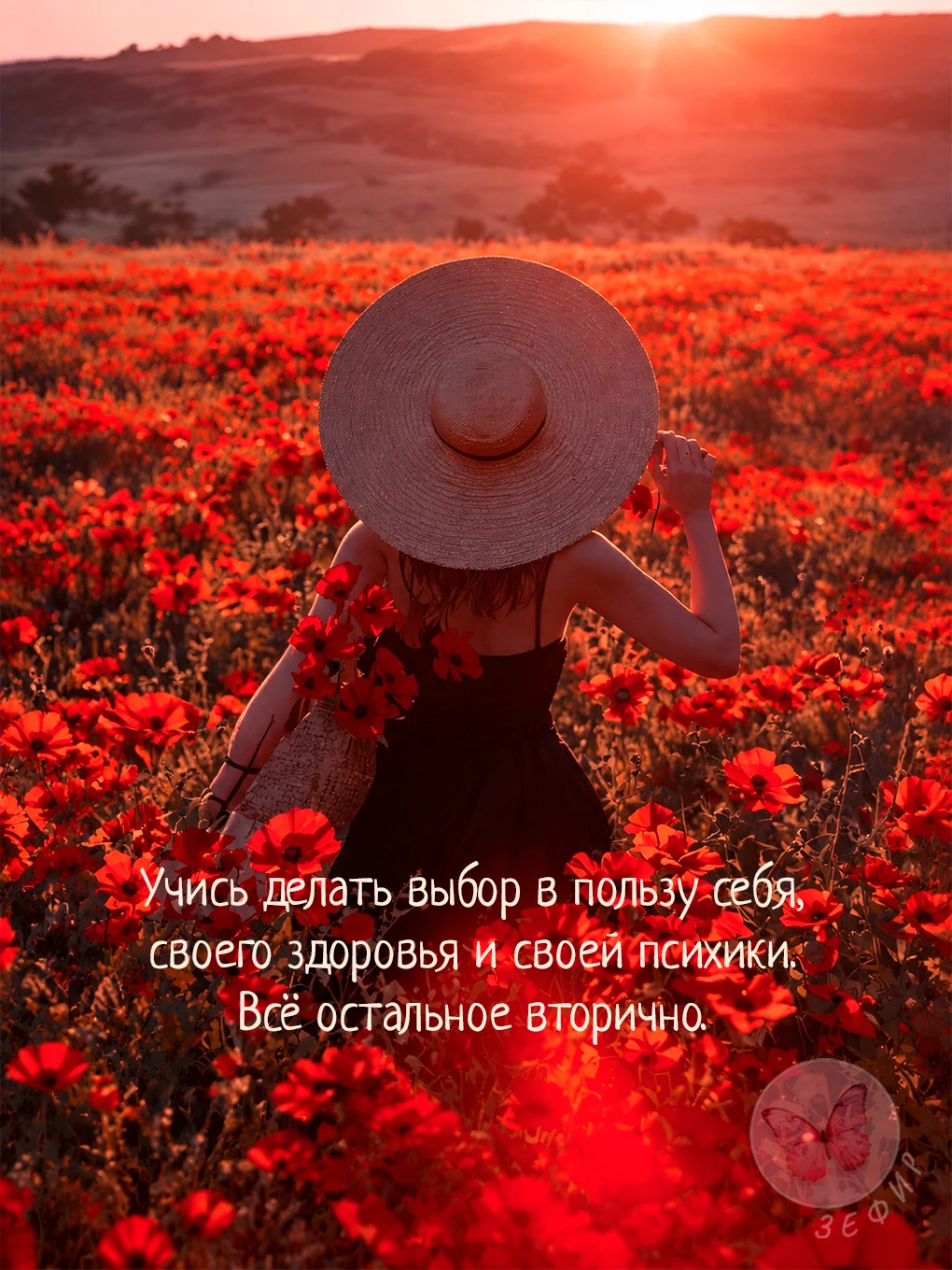 З Е Ф И Р