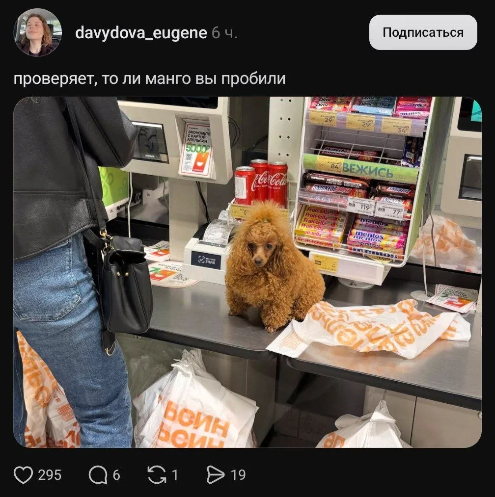 Кажется, нашли самую милую кассиршу 🥰