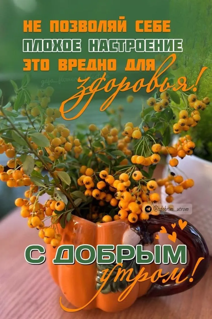 Немного красоты в ваш день!.