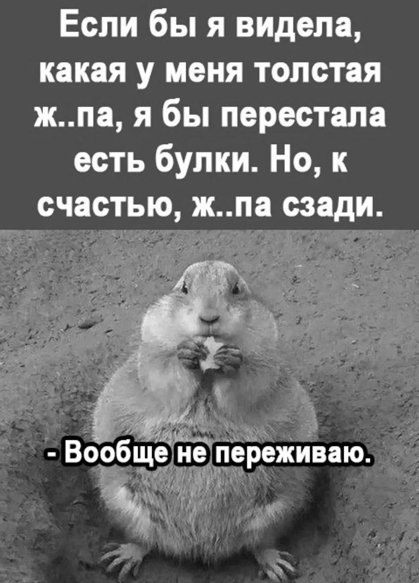 🇷🇺  Мы в МАХ : https://max.ru/derzkaya_htuhka