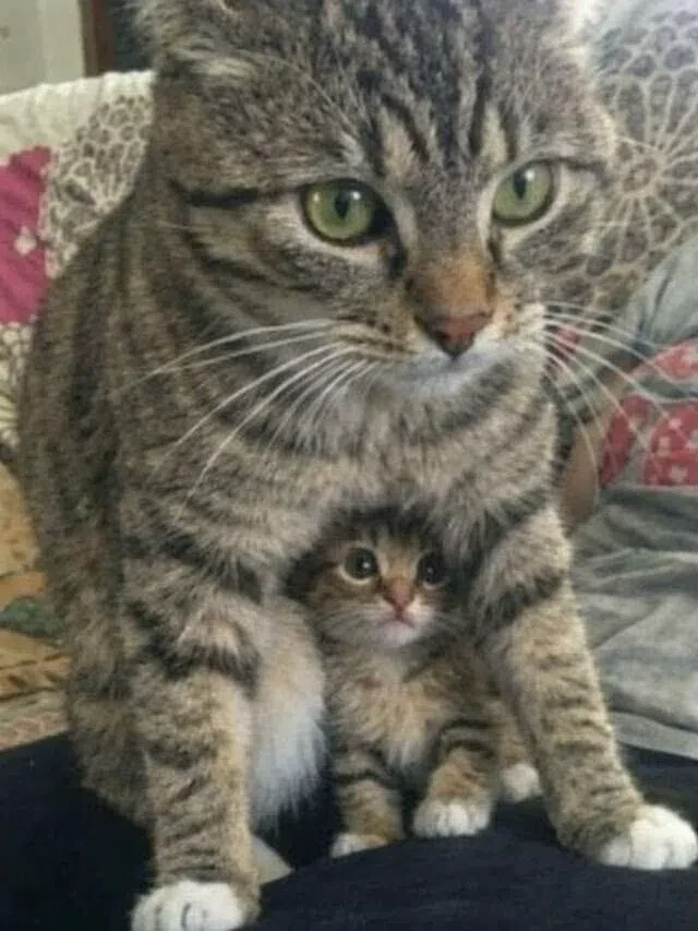 Мамино счастье ❤️