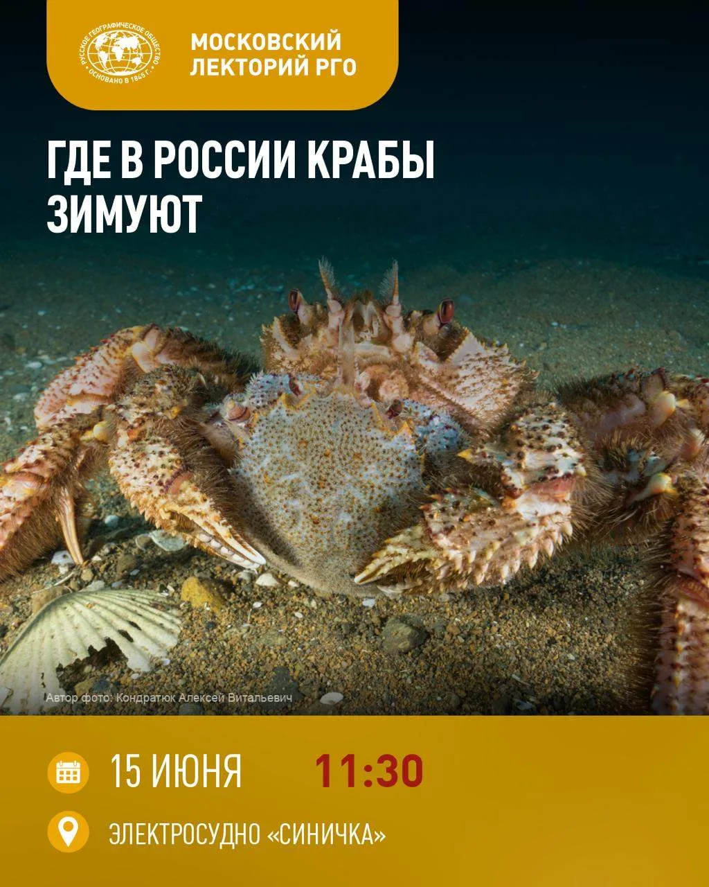🦀 Какие крабы обитают в морях России? Как зарождался отечественный крабовый промысел и какую роль о