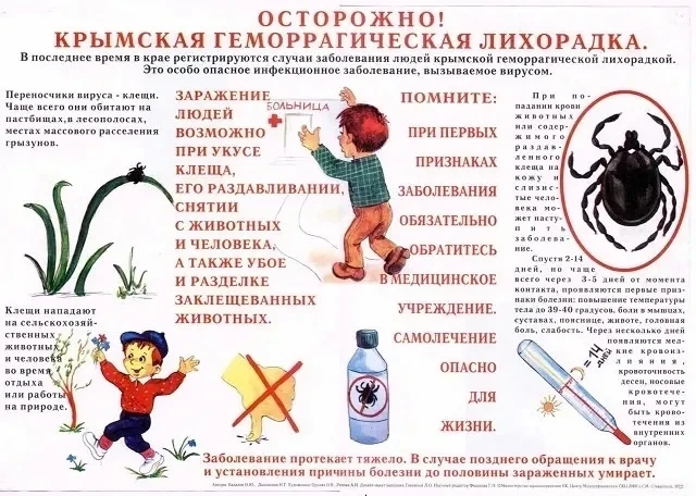 Крымская геморрагическая лихорадка (КГЛ) — это острое природно-очаговое вирусное заболе...