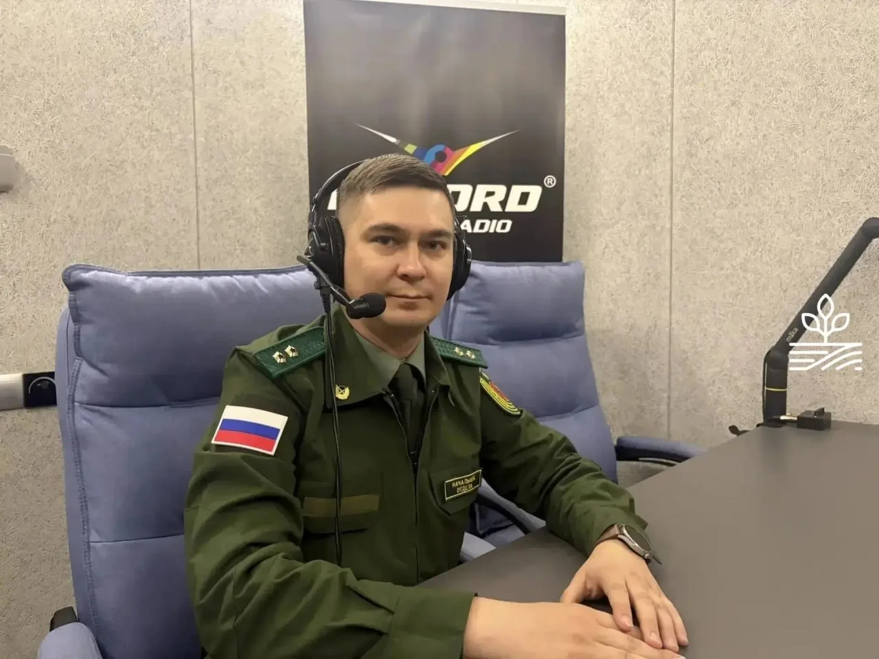 🚗 Лоси на трассах: как избежать аварии и кто возместит ущерб за сбитое животное