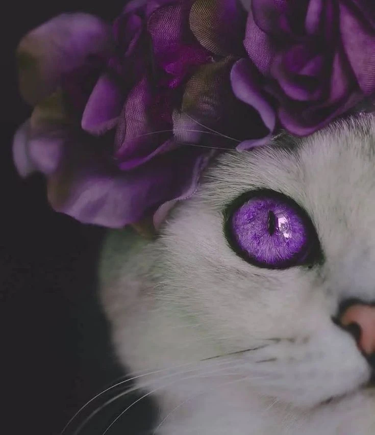 Глаза — космос 💚💜