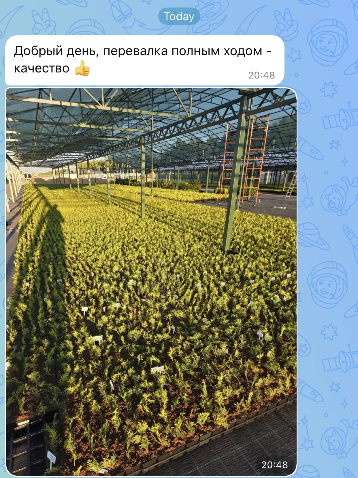 Случается такое, что некоторые не скрывают эмоций. Приятно же 😎
У нас классные партнеры)