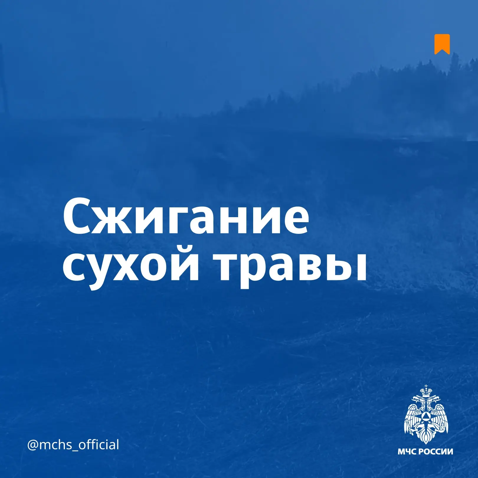 Важное предупреждение: запрет на сжигание сухой травы и мусора!