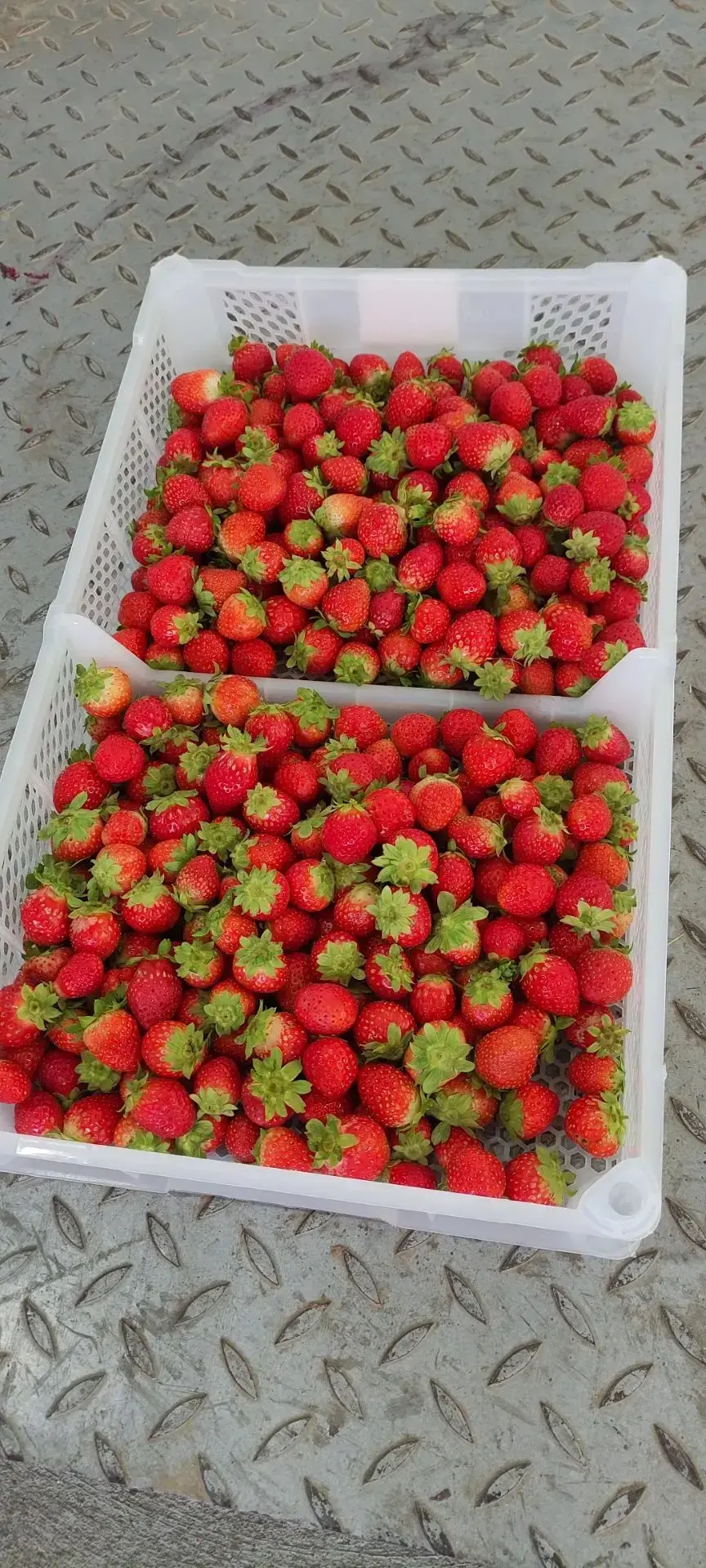 ☀️🍓 31 августа. Последний день лета. Мы объявляем продажи нефасованной ягоды с доставк...