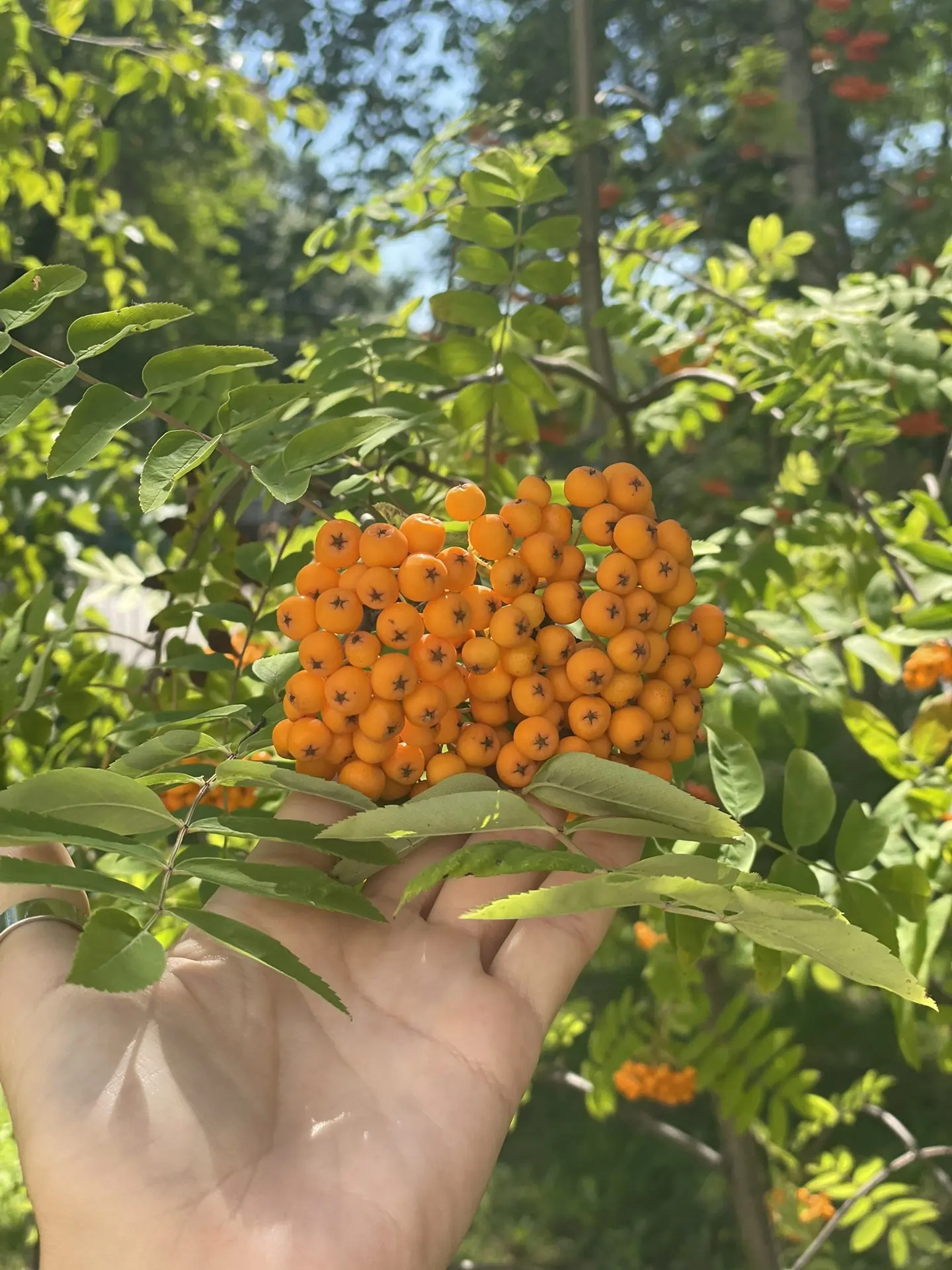 Наш уютный школьный эко-двор🧡🧡🧡