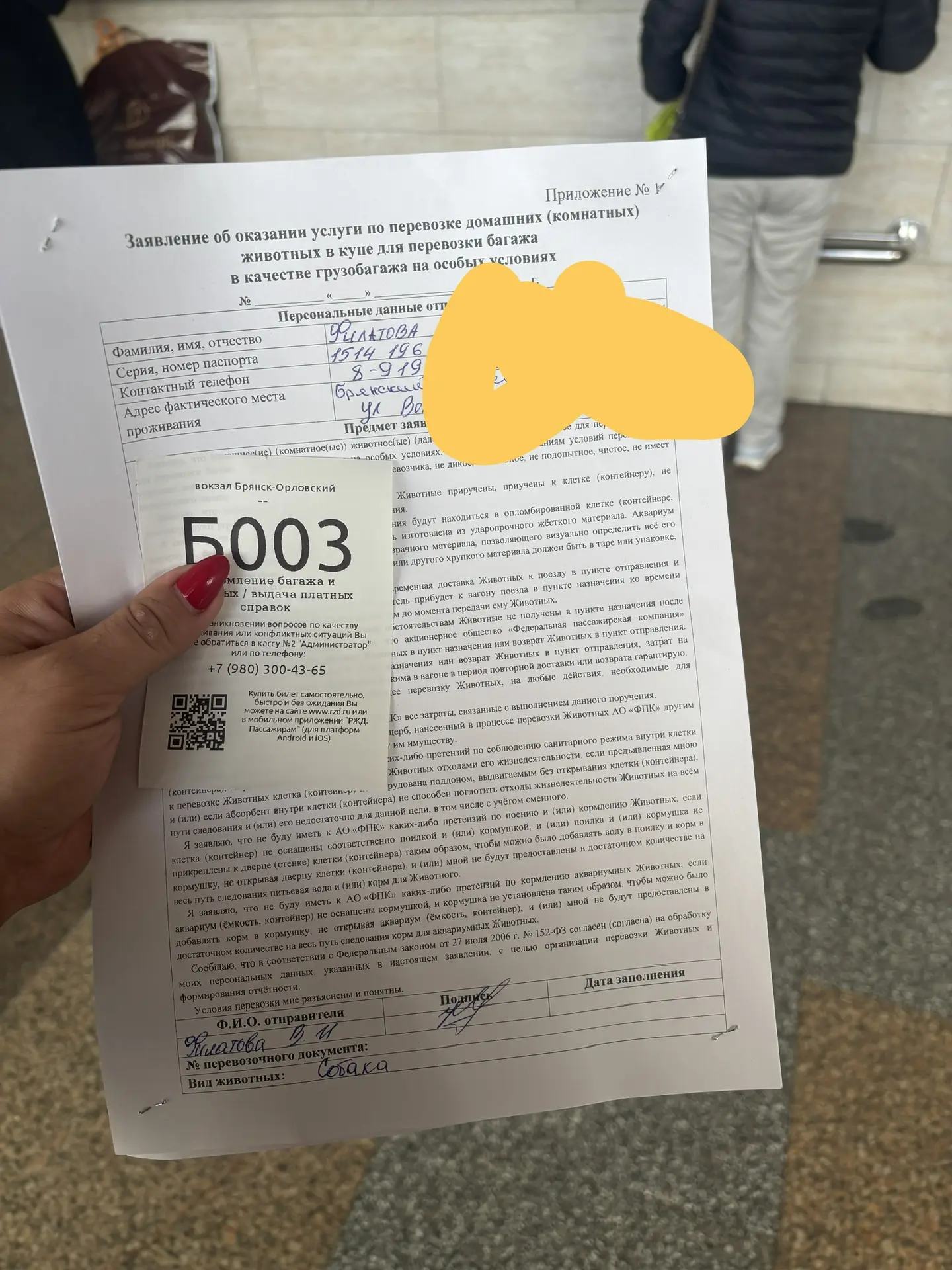 Готовим к отправке малышей 🥰