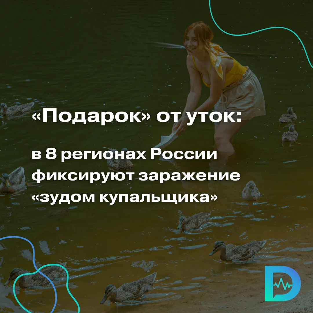 Этим летом «зуд купальщика», или церкариоз, снова захватывает российские города. Как сообщает телегр