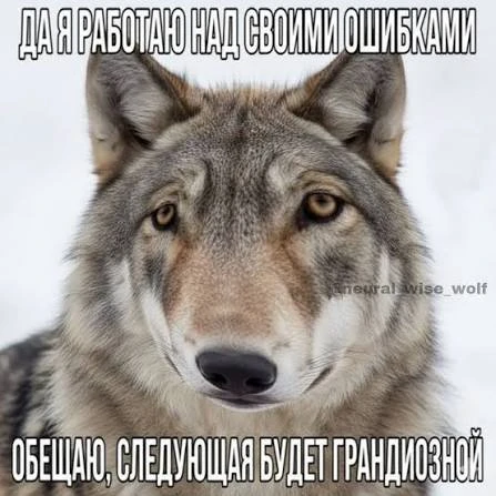 Спама здесь больше не будет🙌