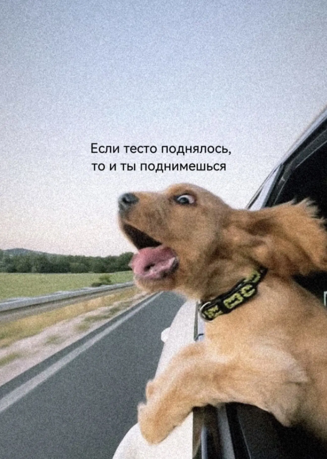 На бодреньком)