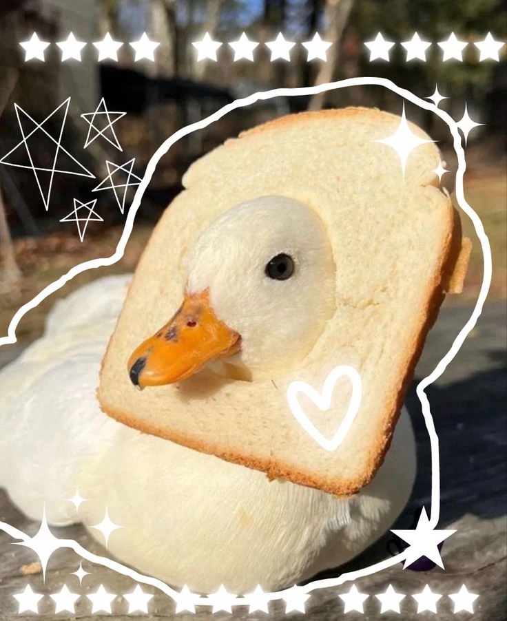 Аватарки с уточками и чуть-чуть гусей 🥰

Выбираем следующие
❤️ — попи плей тайм
🔥 — роблокс 
😈 — 