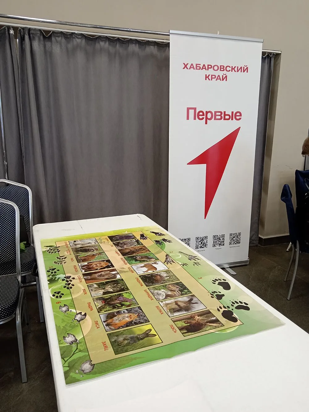 🎉1 июня краеведческий музей принял участие в Фестивале Движения Первых, приуроченного ...